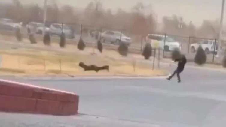 Жамбыл облысында дауыл кезінде 17 жастағы жігіт көз жұмды - изображение 1