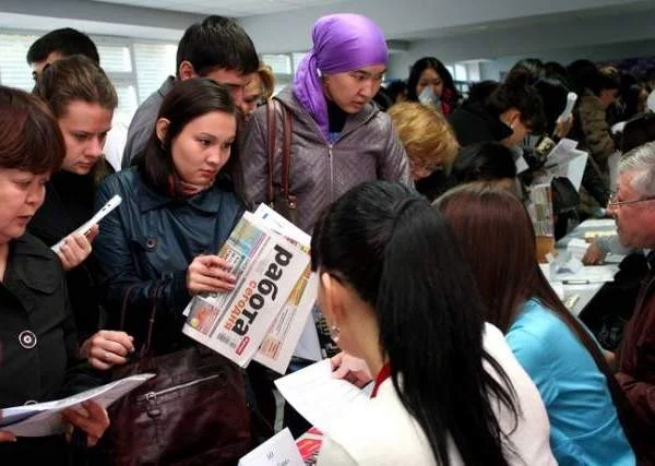 Изображение 1 для На семь процентов сократилась молодежная безработица