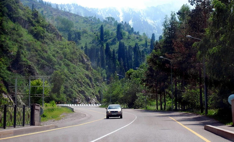 В Бутаковском ущелье вырубают яблони. Началась незаконная стройка нового ЖК - изображение 1