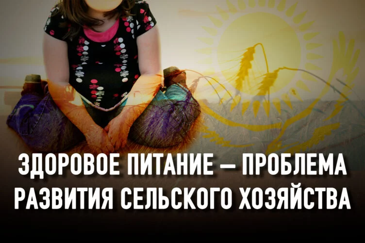 Почему в Казахстане растет число детей с лишним весом и ожирением? - изображение 1