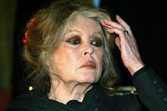 Изображение 1 для Брижит Бардо написала третье письмо Токаеву