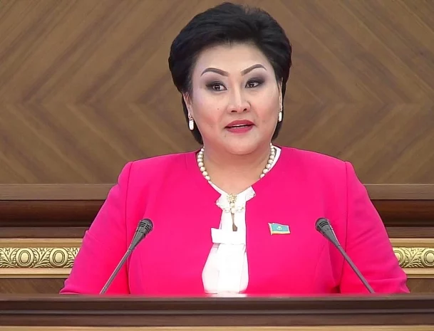 Изображение 1 для Бакытгуль Хаменову поместили в СИЗО