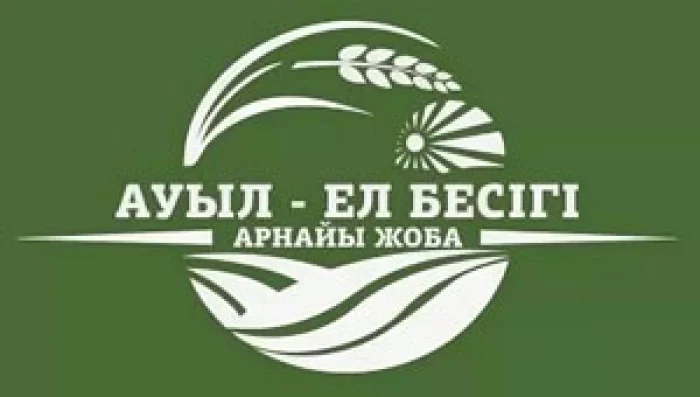 Изображение 1 для Президент поручил разработать отдельные направления в рамках программ «Ауыл – ел бесігі», «Дорожная карта бизнеса» и упомянул о сокращении госслужащих