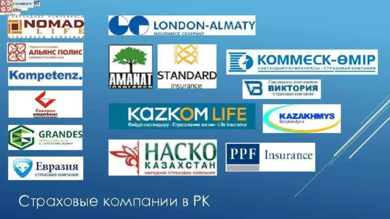 Страховые компании Казахстана упростили рассмотрение страховых случаев - изображение 1