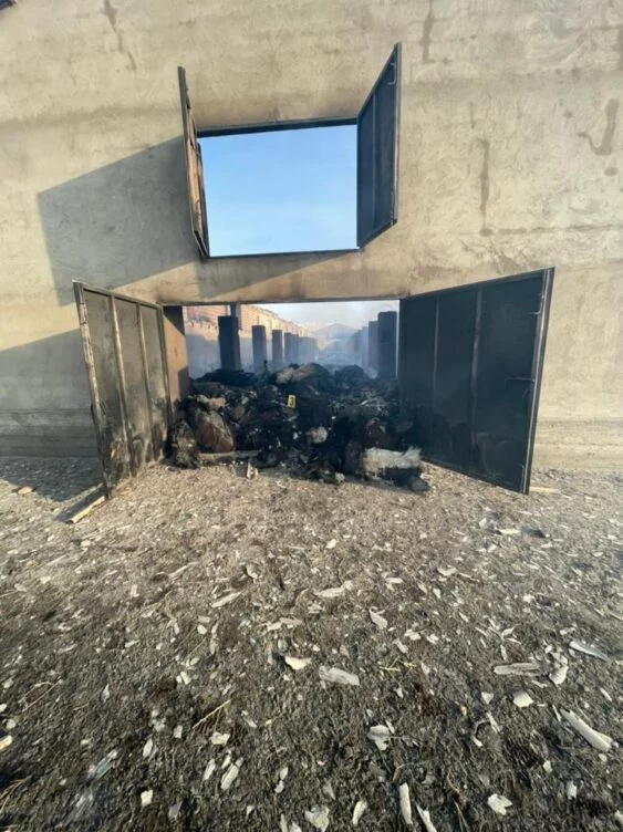 Изображение 1 для В Туркестанской области при пожаре заживо сгорели пастух и 1,1 тыс овец