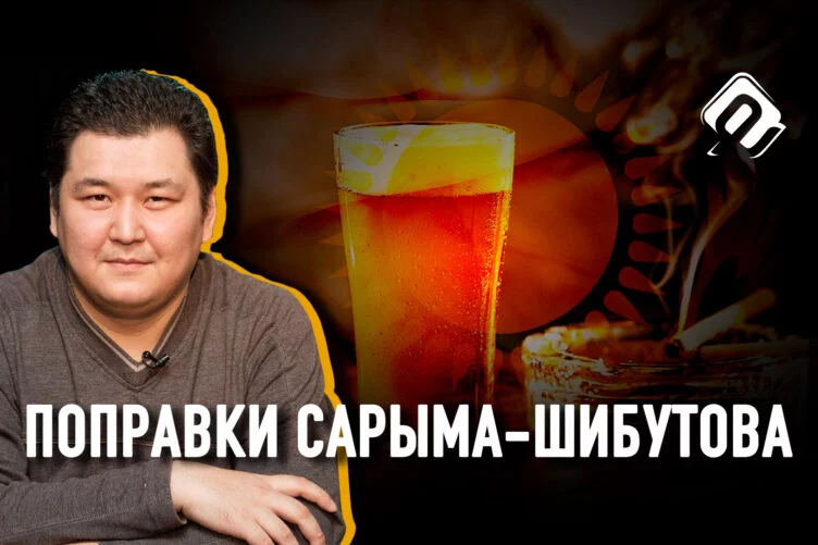 НСОД: партии из 500 человек и отмена президентской квоты в сенате - изображение 1