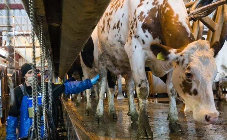 Инвестиции в АПК за год подскочили на треть - изображение 1