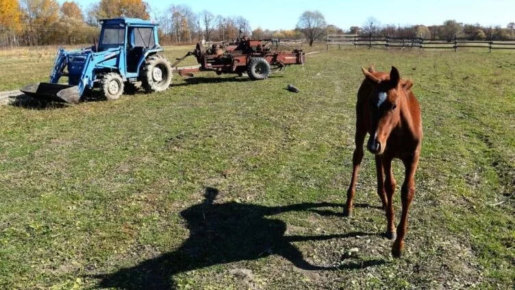 Предельные размеры сельхозземель на одного владельца утвердят до мая - изображение 1