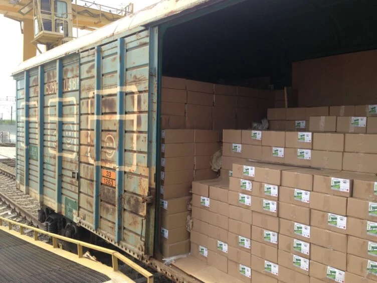 Правительством решен вопрос перевалки грузов из Китая в Казахстан — Оперштаб - изображение 1