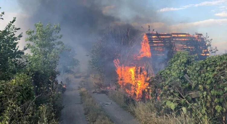 В Павлодаре горят дачные участки - изображение 1