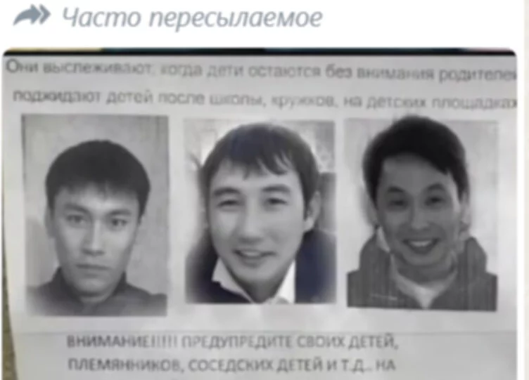 Казахстанцев пугают старой фейковой рассылкой о банде педофилов. Преступники якобы ездят из города в город и заманивают детей просьбами помочь найти сбежавшего щенка или котенка. - изображение 1