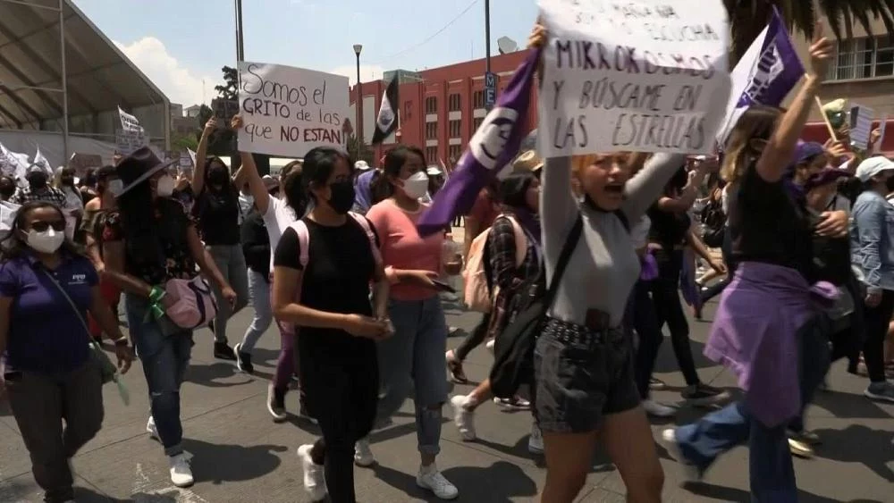 Изображение 1 для В Аргентине прошли митинги против насилия