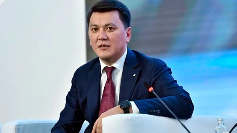 Ерлан Қарин жаңа қызметке тағайындалды - изображение 1