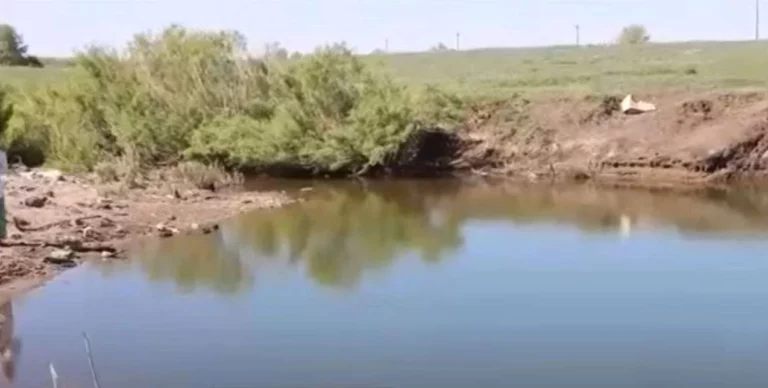 В Казахстане за неделю погибли 17 детей - изображение 1