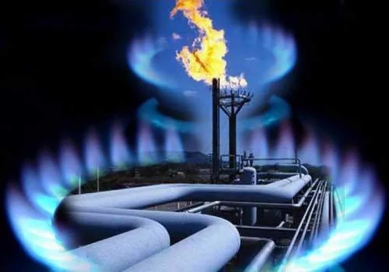 Если этой зимой отключат газ, мы сожжем всё что можем — власти Чехии - изображение 1