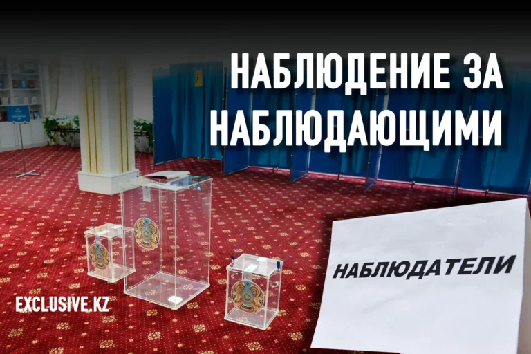 О «тушках», титушках и давлении на референдуме - изображение 1