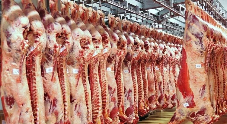 Қазақстан кәсіпорындары Сауд Арабиясына ет экспорттайды - изображение 1