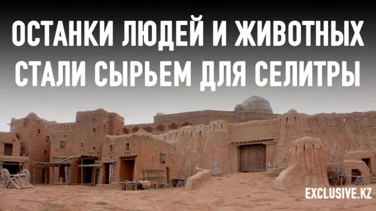 О том, как мертвое ордынское население было уничтожено дважды - изображение 1