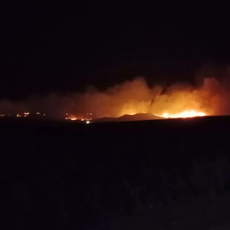 Со степным пожаром борются в области Абай - изображение 1