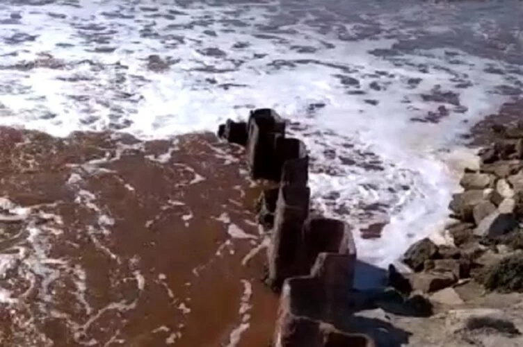 Казахстанские экологи назвали причину покраснения воды у берегов Каспия - изображение 1