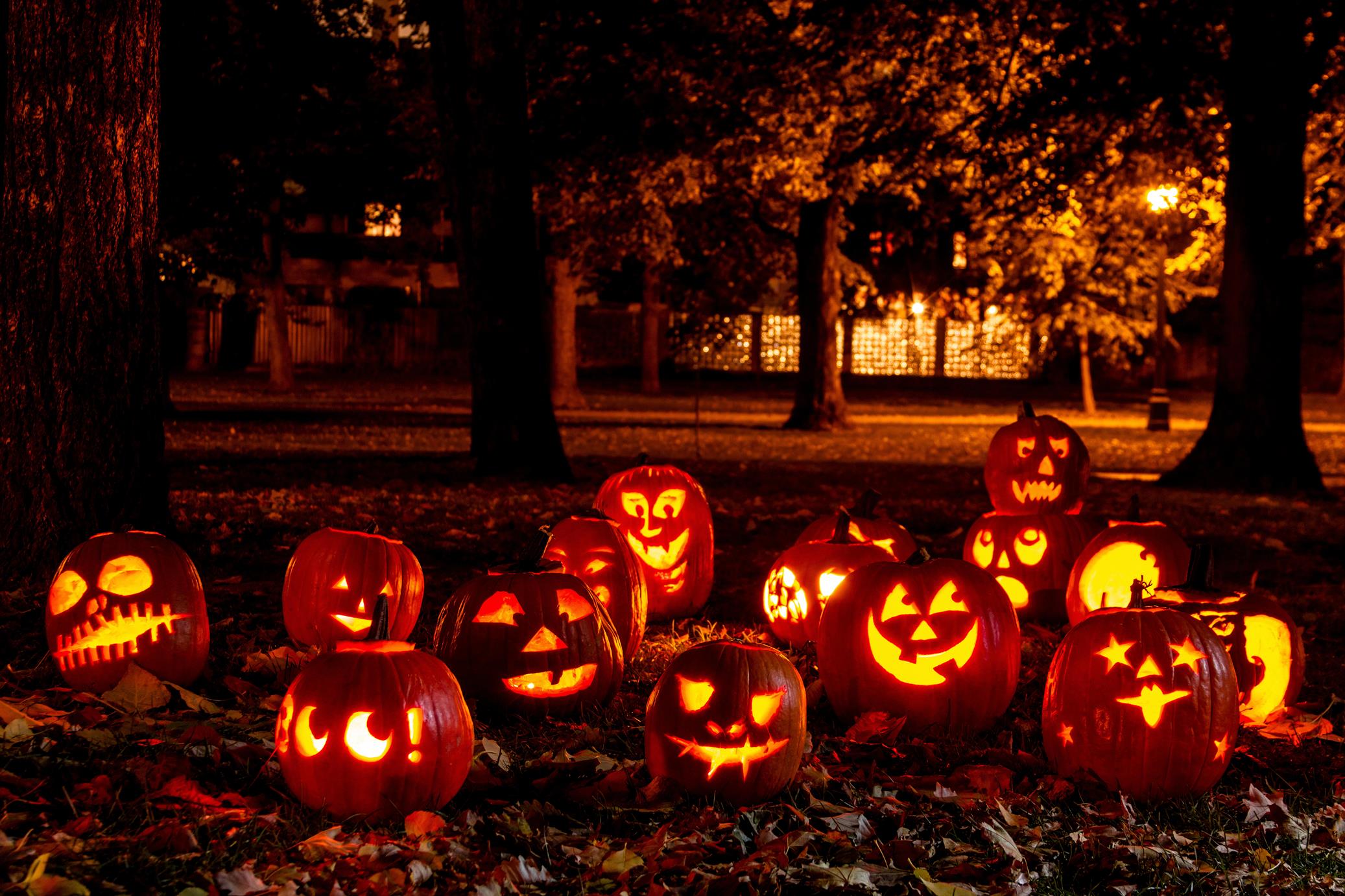 Какого дня хэллоуин. Хэллоуин, день всех святых (31 октября — 1 ноября). Тыква Хэллоуин. Nsrdf NF [tkkjeby. Хэллоуин картинки.