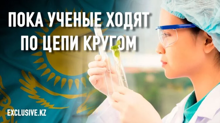 Миннацэкономики предпочитает революцию снизу вместо революции сверху - изображение 1