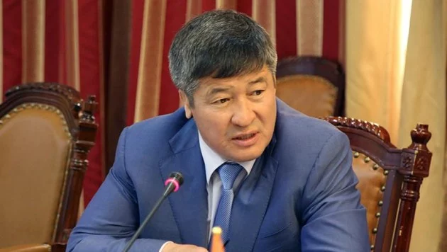 Дәулет Тұрлыханов ұлының әрекеті үшін кешірім сұрады - изображение 1