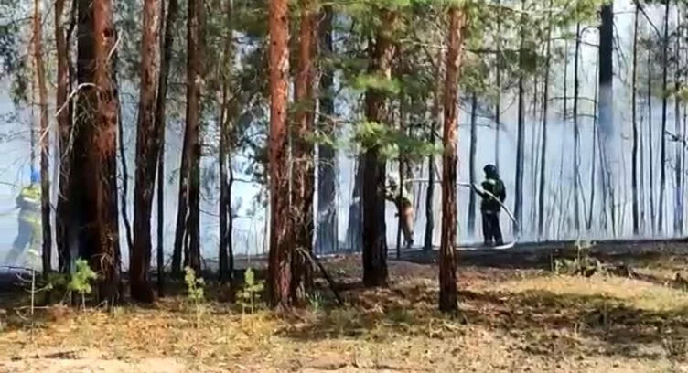 Изображение 1 для Пожар в Абайской области