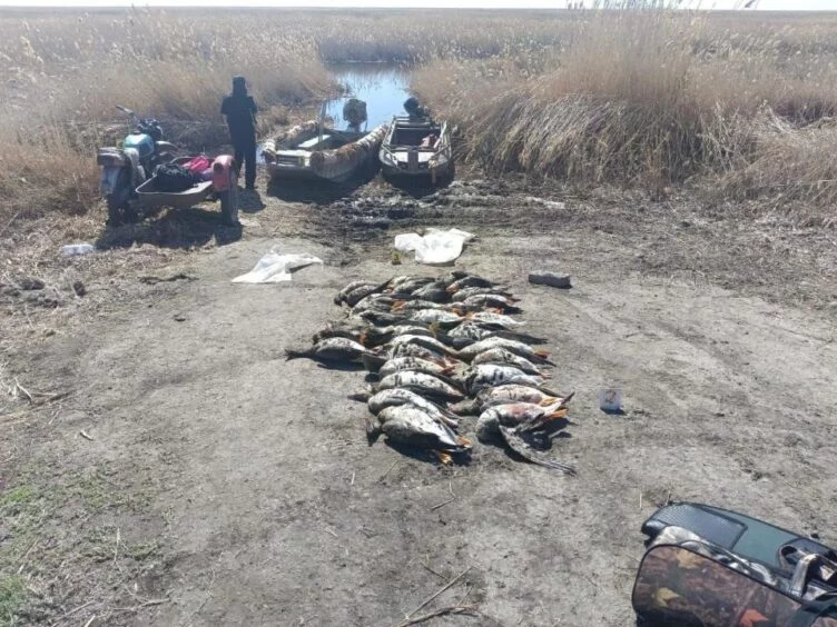 В СКО задержан полицейский с группой браконьеров - изображение 1