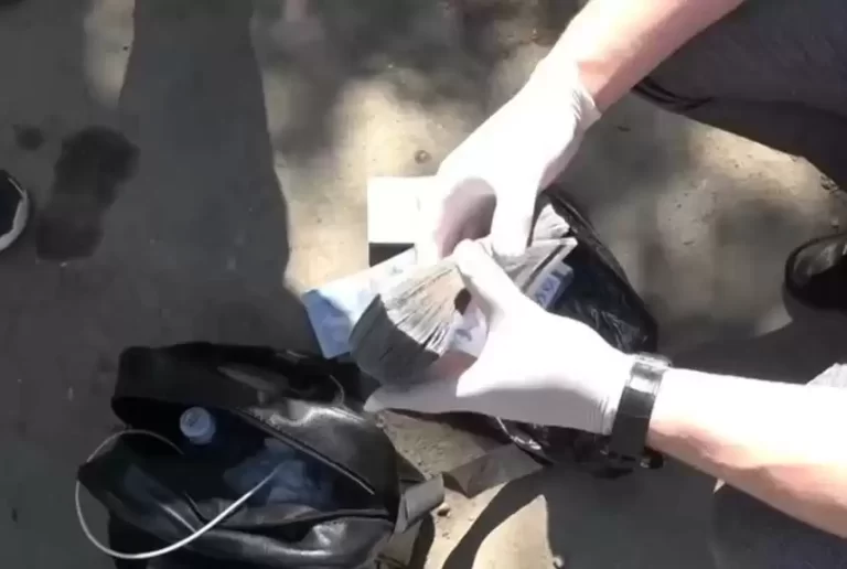 В Костанайской области похитили свыше 500 млн. тенге субсидий по нацпроекту - изображение 1