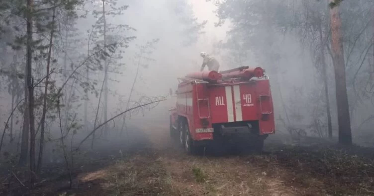 Абай облысындағы орман өрті бойынша қылмыстық іс қозғалды - изображение 1