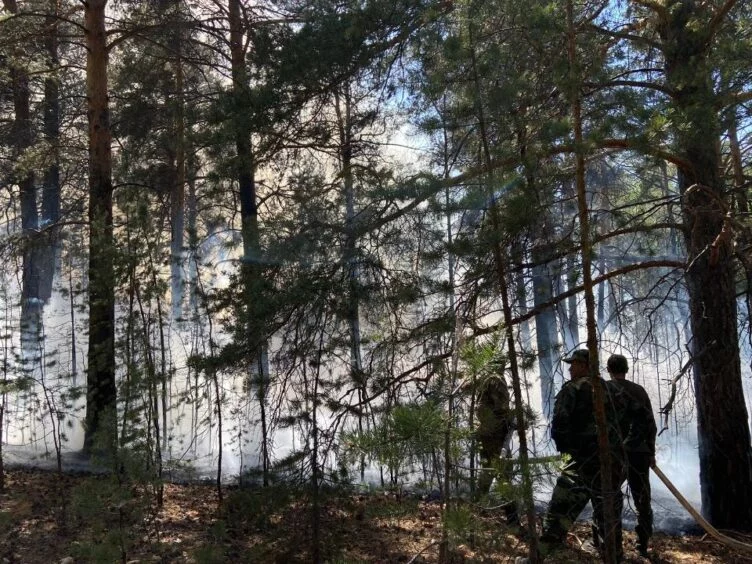 В Абайской области продолжается тушение пожара - изображение 1
