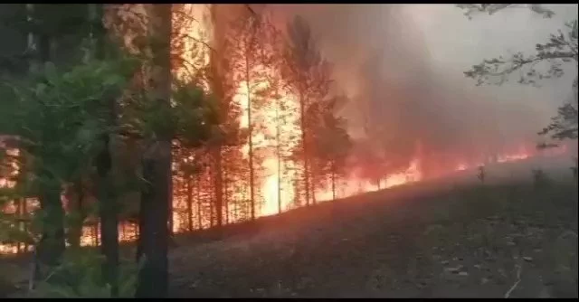 1,4 трлн. тенге нужно службам пожаротушения, чтобы не повторилась трагедия Абайской области - изображение 1