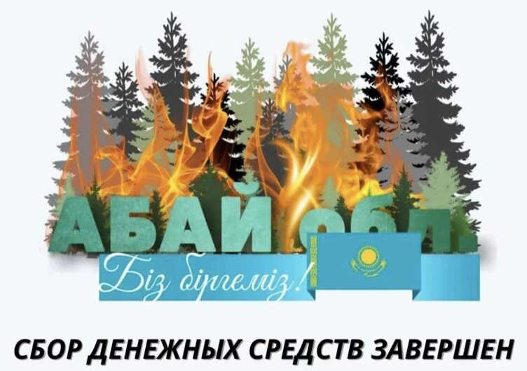 Сбор средств пострадавшим от пожаров в области Абай завершен - изображение 1