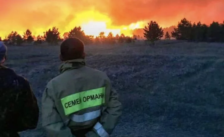 Работникам «Семей Орманы» повысят зарплату - изображение 1