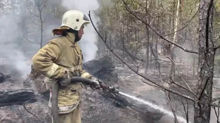 В Абайской области остановили работы по прокладке минерализованной полосы - изображение 1