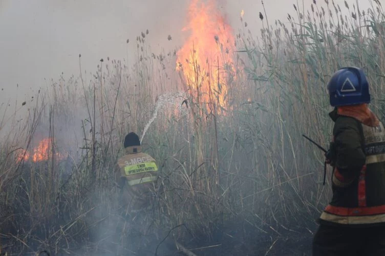 Пожар на окраине Астаны локализован - изображение 1