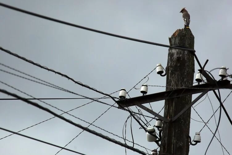 В Карагандинской области зафиксировали высокий износ электросетей - изображение 1