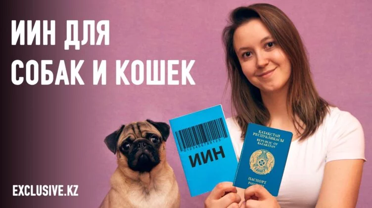 Что грозит животному без регистрации? - изображение 1