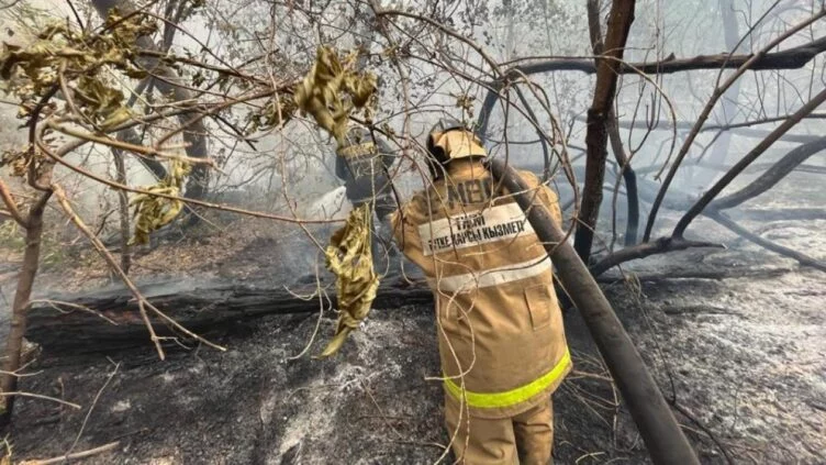 Абай облысындағы өртті сөндіруге қатысқан әскери қызметшілер марапатталды - изображение 1