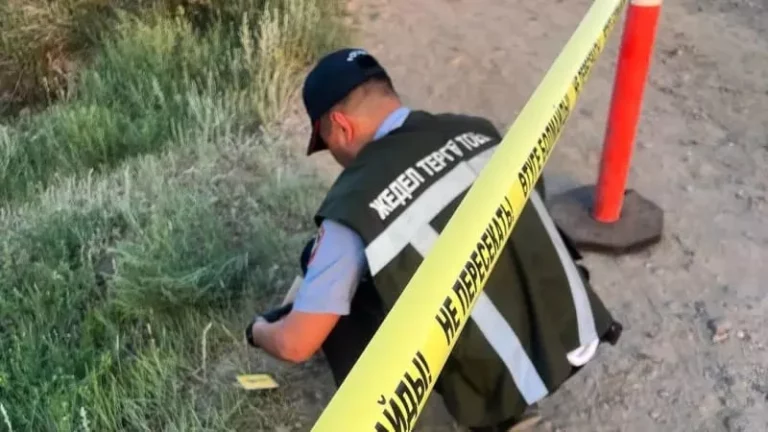 Түркістанда жасөспірім қаңғыған оқтан қаза тапты - изображение 1