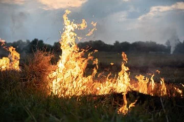 Пожар в Иле-Балхашском резервате тушат в Алматинской области - изображение 1