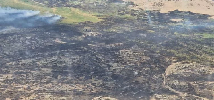 За день в степи Абайской области произошло пять пожаров - изображение 1