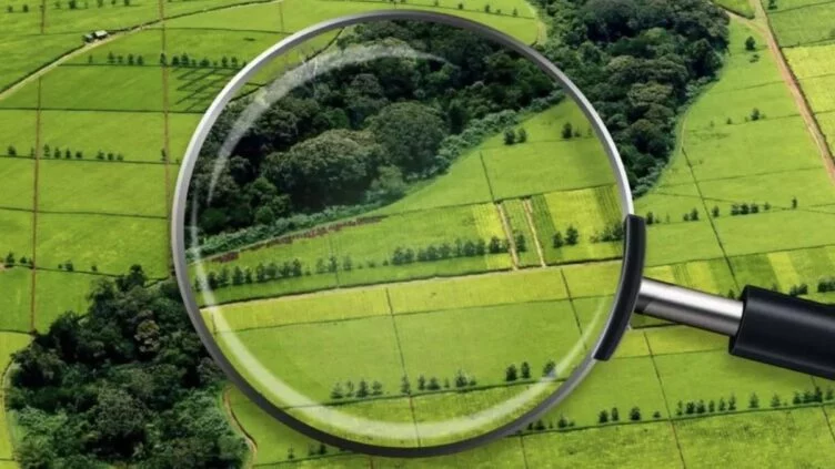 Құны 1,6 миллиард теңге болатын орман учаскесі мемлекетке қайтарылды - изображение 1