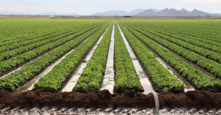 Қырғызстан Қазақстанға баратын егіс суын тоқтатты - изображение 1