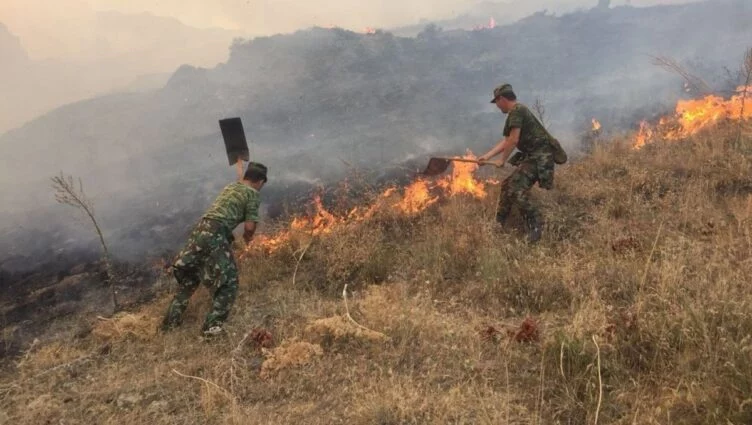 Площадь пожара в Жамбылской области выросла в полтора раза - изображение 1