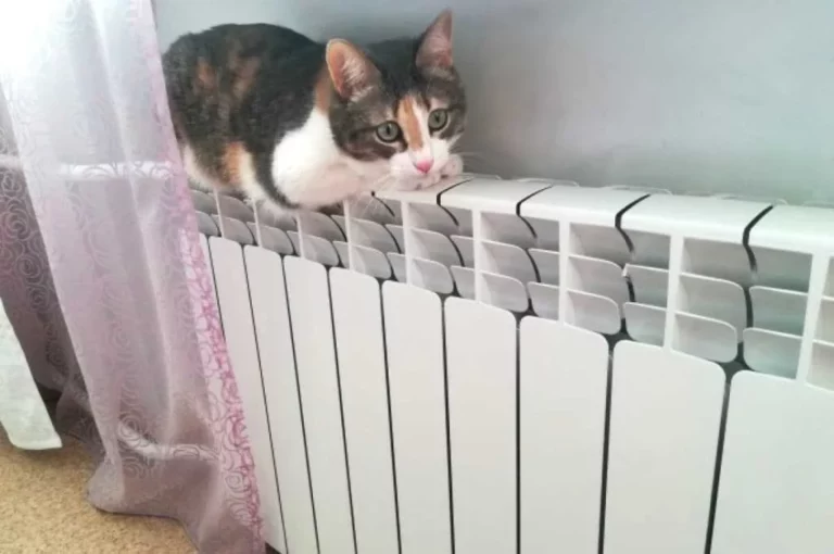 Минэнерго Кыргызстана анонсировали запрет на отопление электричеством - изображение 1