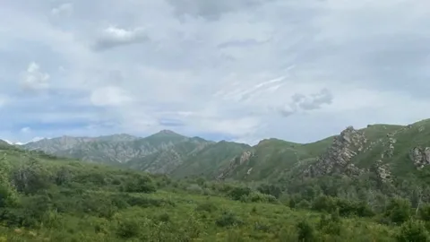 В Абайской области с природопользователей взыскали в доход государства более 100 млн. тенге - изображение 1