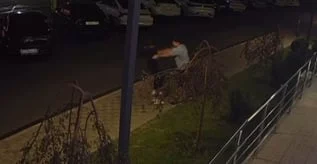 Второго сына депутата мажилиса Даулета Турлыханова обвинили в избиении женщины - изображение 1