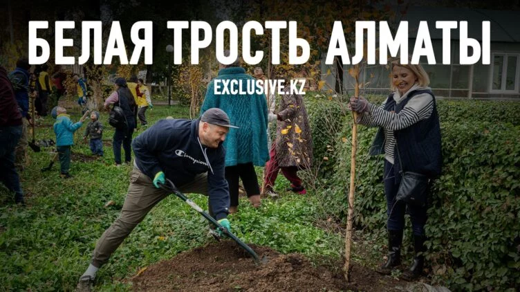 Волонтеры посадили сотни деревьев в алматинской школе - изображение 1